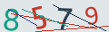 verifycode